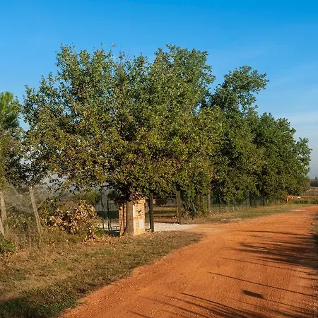 Podere Abbazia b&b-3