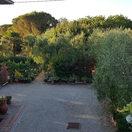 Orto degli Ulivi-3